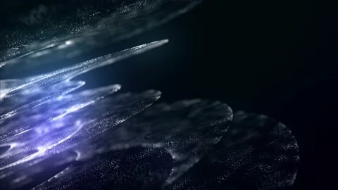 3d rendering of the abstract particles form Stock Footage 114278493