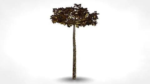 3d rendering of an abstract reflective golden tree on a white background Stock Illustration