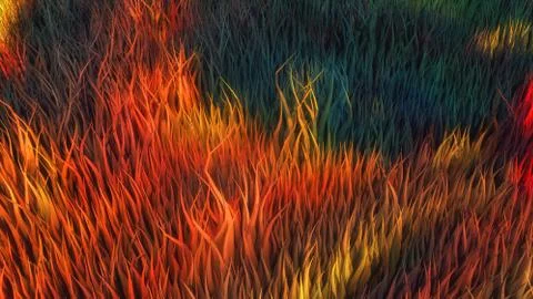 3d rendering. Abstract topography and colors Stock-Illustration