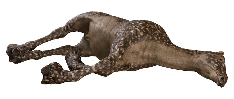 3D Rendering Alien Animal on White Stock Illustration