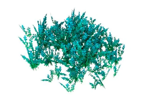 3D Rendering Alien Plant on White Stock Illustration