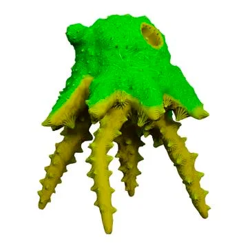 3D Rendering Alien Plant on White Stock Illustration