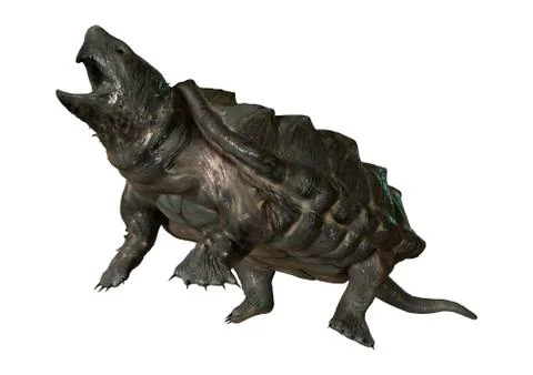 3D Rendering Alligator Snapping Turtle on White Stock Illustration