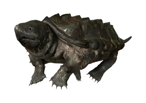 3D Rendering Alligator Snapping Turtle on White Stock Illustration