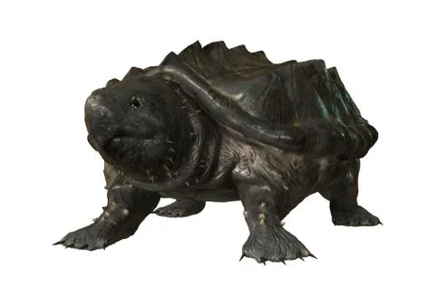 3D Rendering Alligator Snapping Turtle on White Stock Illustration