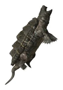 3D Rendering Alligator Snapping Turtle on White Illustrazione stock