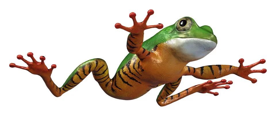 3D Rendering Amazon Tree Frog on White Stock Illustration