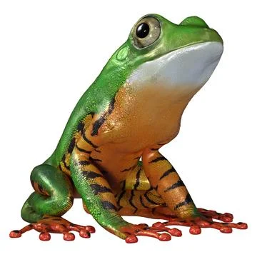 3D Rendering Amazon Tree Frog on White Illustrazione stock