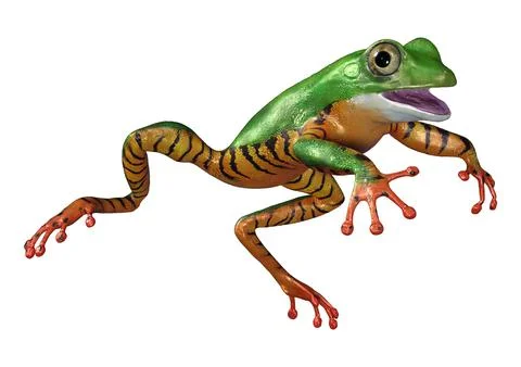 3D Rendering Amazon Tree Frog on White Illustrazione stock
