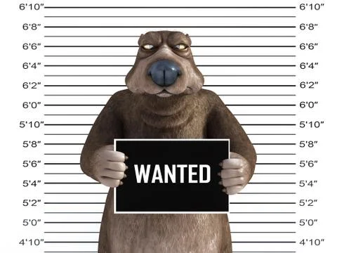 3D rendering of an angry cartoon bear in a mugshot. Stock Illustration