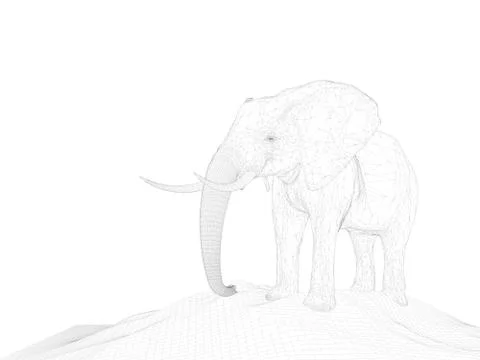 3d rendering of anima wireframel with white background Stock Illustration