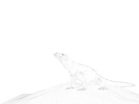 3d rendering of anima wireframel with white background Stock Illustration