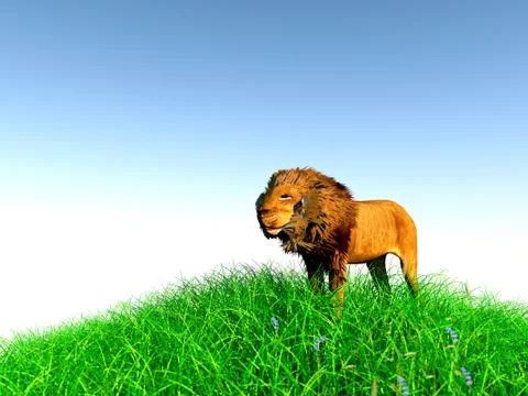 3d rendering of animal on grass with back light with high quality render Stock Illustration