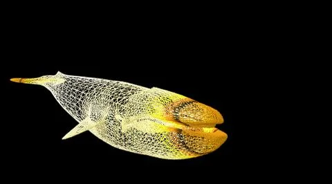 3d rendering of an animal wireframe on a black background Stock Illustration