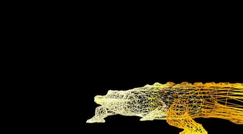 3d rendering of an animal wireframe on a black background Illustrazione stock