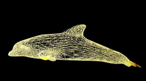 3d rendering of an animal wireframe on a black background Stock Illustration