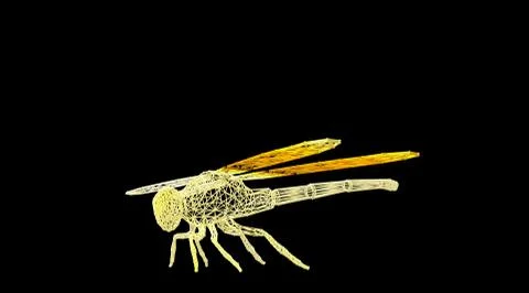 3d rendering of an animal wireframe on a black background Illustrazione stock