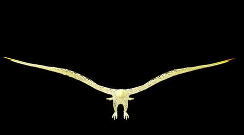 3d rendering of an animal wireframe on a black background Illustrazione stock