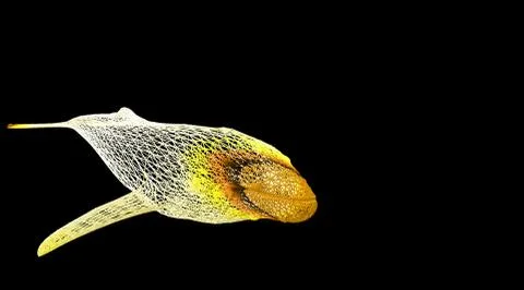 3d rendering of an animal wireframe on a black background Stock Illustration