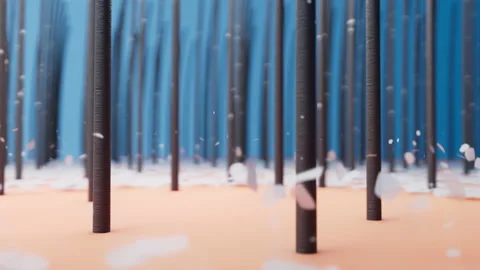 3d rendering animation close up, anti-dandruff shampoo on hair and scalp. Stock Footage 221457051