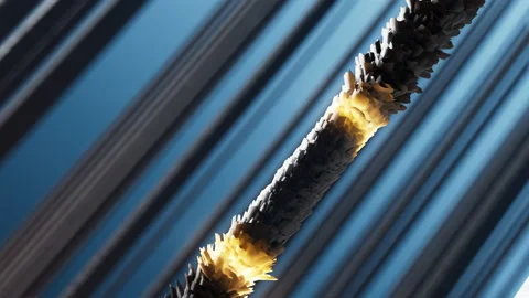 3D rendering animation of close-up condition moisture drop on the hair  Stock Footage 221461736