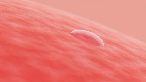 3D rendering animation, close up Drops of oil on skin and absorbed into skin Stock Footage 229519933