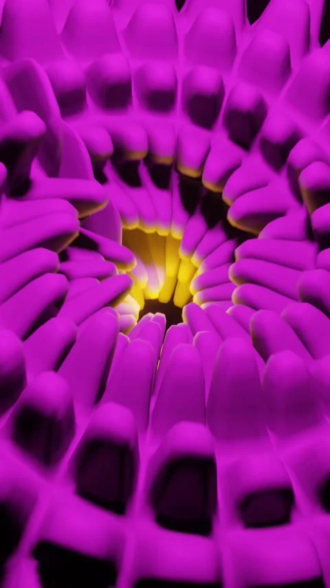 3d rendering animation of a surreal flower pattern opening up with a light in Stock Footage 221895643