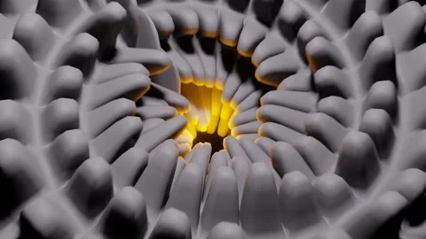 3d rendering animation of a surreal flower pattern opening up with a light in Stock Footage 221895645