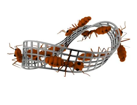 3d rendering of ants walking on a infinity figure isolated in white backgroun Stock Illustration
