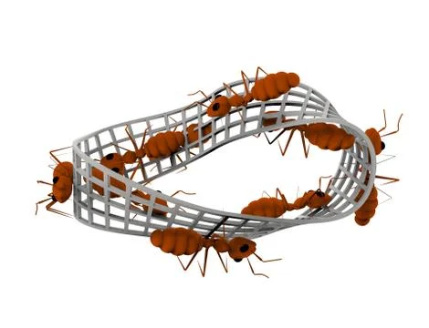 3d rendering of ants walking on a infinity figure isolated in white backgroun Stock Illustration