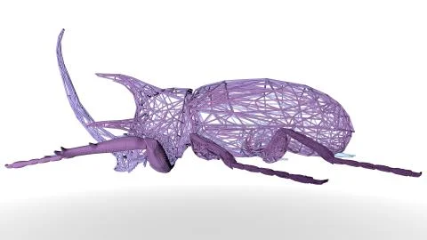 3d rendering of an artistic animal with reflection isolated on white Stock Illustration