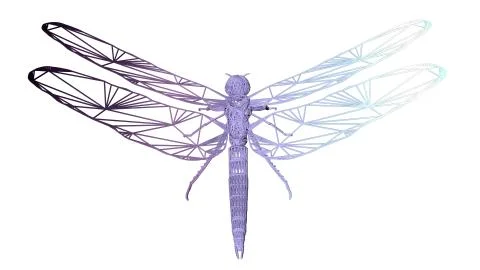 3d rendering of an artistic animal with reflection isolated on white Stock Illustration