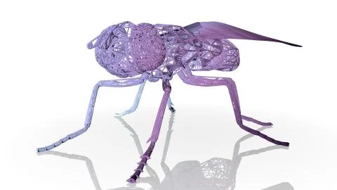 3d rendering of an artistic animal with reflection isolated on white Illustrazione stock