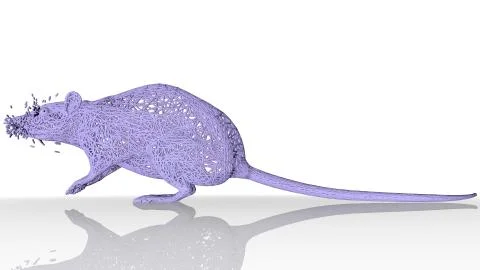 3d rendering of an artistic animal with reflection isolated on white Stock Illustration