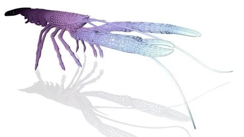 3d rendering of an artistic animal with reflection isolated on white Stock Illustration