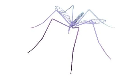 3d rendering of an artistic animal with reflection isolated on white Stock Illustration