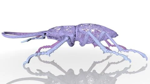 3d rendering of an artistic animal with reflection isolated on white Stock Illustration