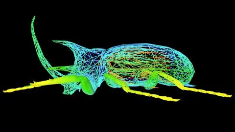 3d rendering of an artistic object made with colorful rope lines on black Stock Illustration