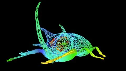 3d rendering of an artistic object made with colorful rope lines on black Stock Illustration