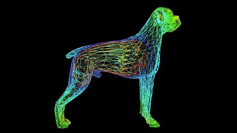3d rendering of an artistic object made with colorful rope lines on black Stock Illustration