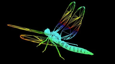 3d rendering of an artistic object made with colorful rope lines on black Stock Illustration