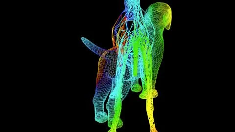 3d rendering of an artistic object made with colorful rope lines on black 스톡 일러스트