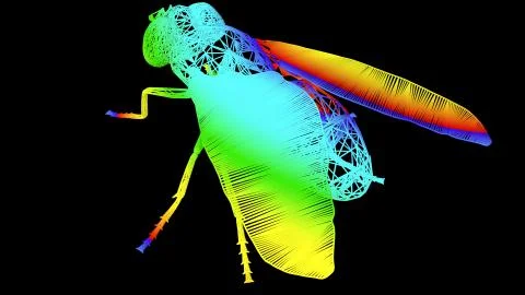 3d rendering of an artistic object made with colorful rope lines on black Stock Illustration