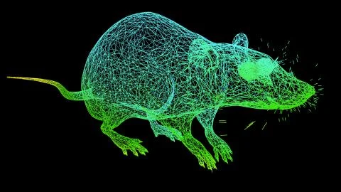 3d rendering of an artistic object made with colorful rope lines on black 스톡 일러스트