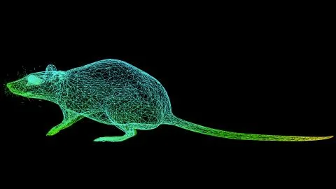 3d rendering of an artistic object made with colorful rope lines on black Stock Illustration