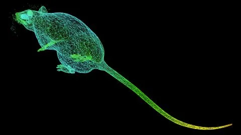 3d rendering of an artistic object made with colorful rope lines on black Stock Illustration