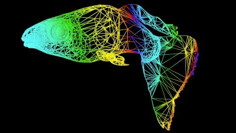 3d rendering of an artistic object made with colorful rope lines on black Stock Illustration