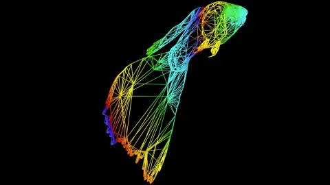 3d rendering of an artistic object made with colorful rope lines on black 스톡 일러스트