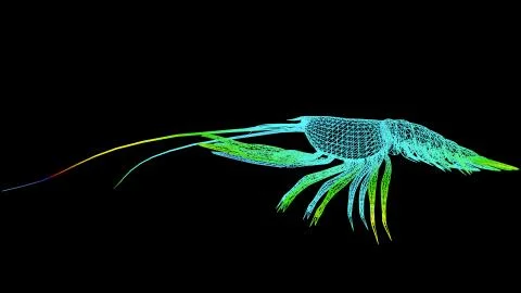 3d rendering of an artistic object made with colorful rope lines on black Stock Illustration