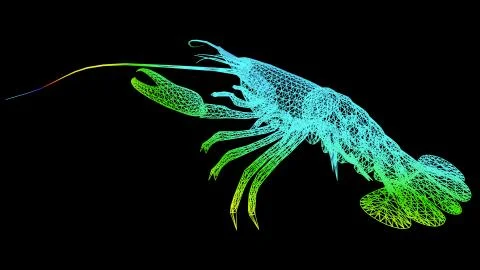 3d rendering of an artistic object made with colorful rope lines on black Stock Illustration